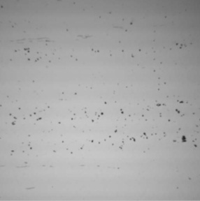 graphite nodules from indication 8